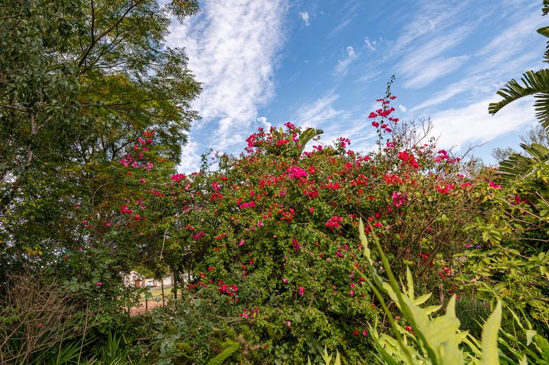 3 Bedroom Property for Sale in Riviersonderend Western Cape